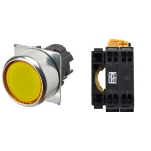 A22NL-RNM-TYA-P100-YC